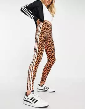 Оранжевые леггинсы с леопардовым принтом adidas Originals x Rich Monks