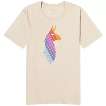 Органическая футболка Cotopaxi Lama Stripes