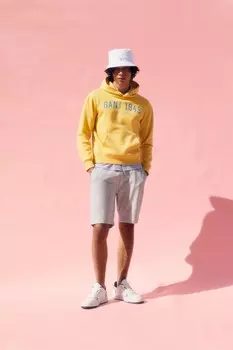 Оригинальные спортивные шорты с логотипом Gant, серый