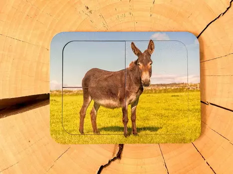 Осел, деревянный пазл из четырех частей, основа с подписью, первый пазл Inna marka