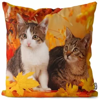 Осенний чехол для подушки VOID Cats, полиэстер, водонепроницаемая подушка для улицы и дома. Размер: 40 x 40 см.