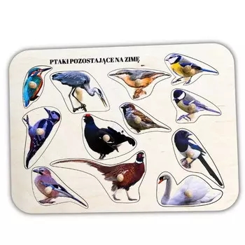 Остающиеся на зиму птицы, деревянные пазлы с ручками и подписями, первые пазлы Inna marka