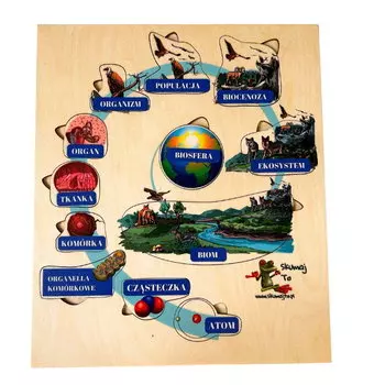 От атома к биосфере, загадка планеты, биологическая помощь Inna marka