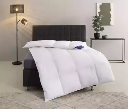 Отличное пуховое одеяло "ВЕНЕЦИЯ Excellent 200х220 см, белый