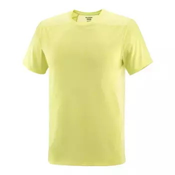 Outline SS Tee M Salomon Мужская футболка, жёлтый