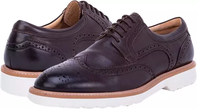 Оксфорды Ace Zanzara, коричневый