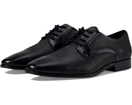 Оксфорды ALDO Brendan, цвет Other Black