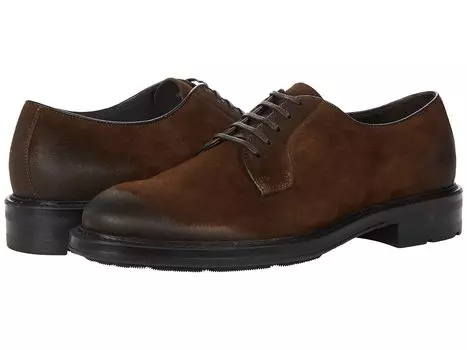 Оксфорды Bruno Magli, Ozzy