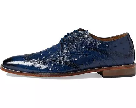 Оксфорды Gennaro Wing Tip Oxford Stacy Adams, синий