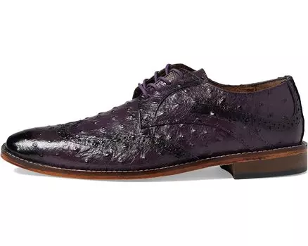 Оксфорды Gennaro Wing Tip Oxford Stacy Adams, слива