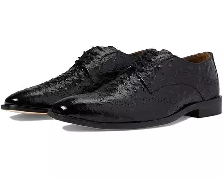 Оксфорды Stacy Adams Gennaro Wing Tip Oxford, черный