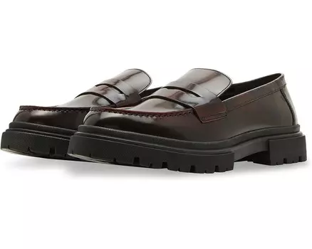 Оксфорды Steve Madden Zephyr, цвет Burgundy Box Leather