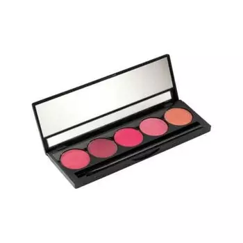 Палитра минерально-розовой помады в оттенках холодных ног 114101, Peggy Sage