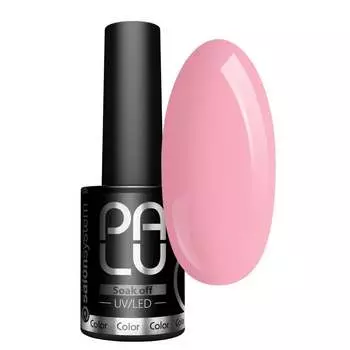 PALU Тбилиси TB5 Гибридный лак -11 г