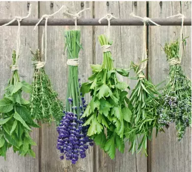 Панель/накладка плиты Zeller Present "Травы", (1 шт.), силиконовые ножки 50х56 см, цвет bunt