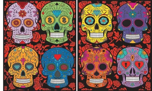 Папка на резинке, черепа. Painting Velvet