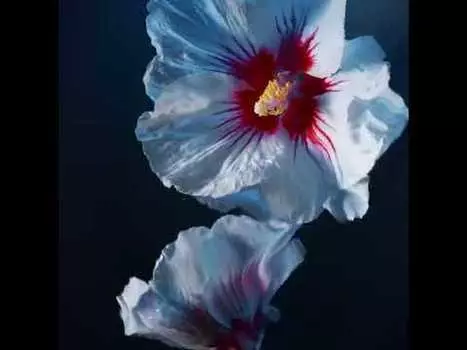 Парфюм для мужчин Acqua Di Gio Profondo Parfum Armani, 100 ml