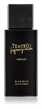 Парфюмерная вода Teatro Fragranze Nero Divino, 100 мл