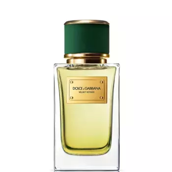 Парфюмерная вода Velvet Vetiver Eau de Parfum 100мл Dolce&Gabbana
