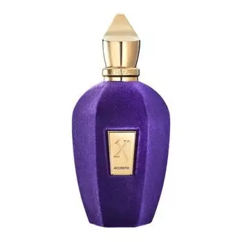 Парфюмерная вода Xerjoff V Accento, 100 мл
