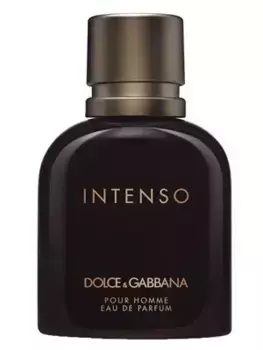 Парфюмированная вода для мужчин Intenso Pour Homme Dolce & Gabbana, 75 ml