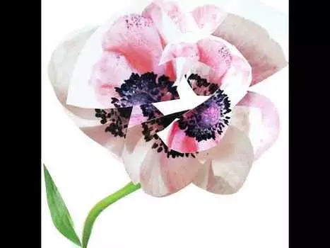 Парфюмированная вода для женщин Estuche Narciso For Her Narciso Rodriguez, 1 UD