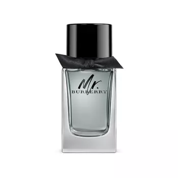 Парфюмированная вода Mr. для мужчин 5,0 жидких унций, Burberry