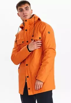 Парка Anerkjendt, персиковый