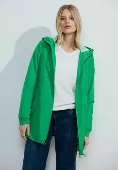 Парка Cecil, зеленый