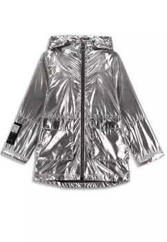 Парка Coccodrillo, серебро