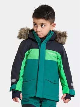 Парка Didriksons, зеленый