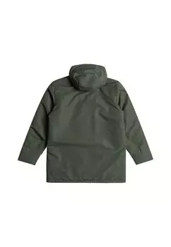 Парка KENAI Billabong, зеленый