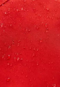 Парка REGULAR FIT Next, оранжевый