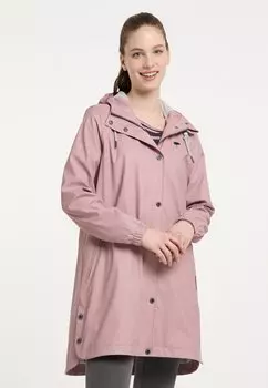 Парка Schmuddelwedda, пыльная роза