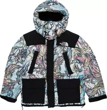 Парка Supreme x The North Face 700-Fill Down Parka 'Multicolor Dragon', разноцветный