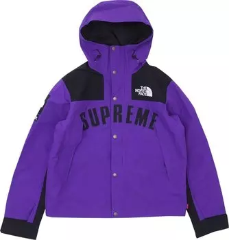 Парка Supreme x The North Face Arc Logo Mountain Parka 'Purple', фиолетовый