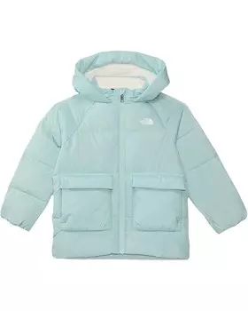 Парка The North Face Kids North Down Fleece-Lined Parka, цвет Muted Pine