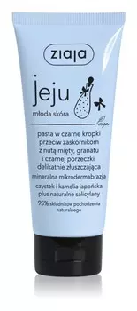 Паста против черных точек с черными точками Ziaja Jeju Niebieska