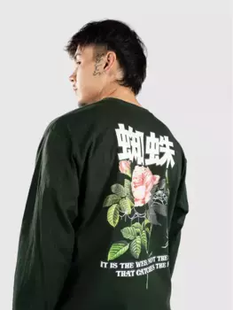 Паучья роза с длинным рукавом Empyre, зеленый