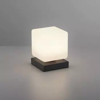 Paul Neuhaus Светодиодная настольная лампа Dadoa черного цвета 5Вт 580лм, черный