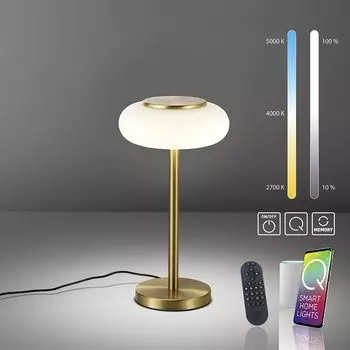 Paul Neuhaus Светодиодная настольная лампа Q ETIENNE Smart Home с регулируемой яркостью, теплый белый, холодный белый, CCT Alexa, матовая латунь, гостиная, спальня, письменный стол 4071-18, 4071-60, 4071-55