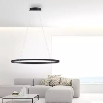 Paul Neuhaus Светодиодный подвесной светильник Titus антрацитового цвета 38Вт 5150лм, черный