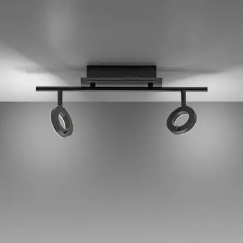 Paul Neuhaus Светодиодный потолочный светильник Sileda черного цвета 2x 6,4 Вт 1700 лм IP44, черный