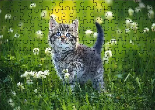 Пазл 120 деталей: Кошки и животные + Сумка с принтом bez marki