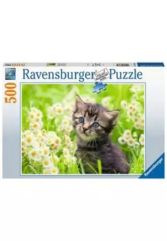 Пазл KTZCHEN IN DER WIESE Ravensburger, цвет mehrfarbig