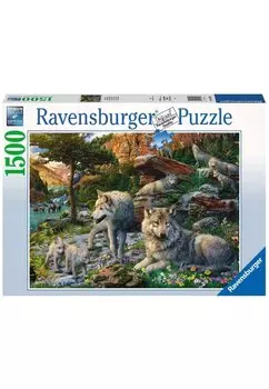 Пазл WOLFSRUDEL IM FRHLINGSERWACHEN Ravensburger, цвет multi coloured