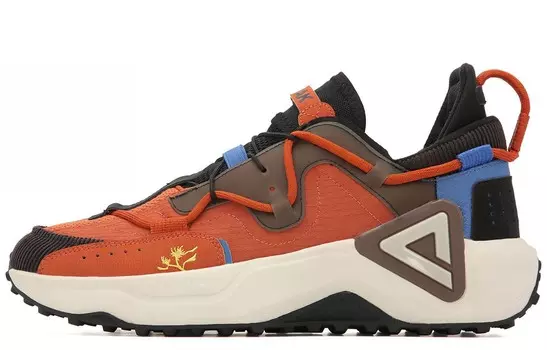 PEAK The State Is Polar Lifestyle Shoes Men Low-top Chestnut Brown/black/blue