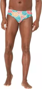 Печатный бюллетень шириной 1 дюйм Speedo, цвет Aurora Pink