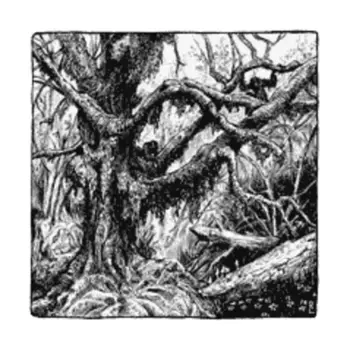 Перан, Harn - Kingdoms & Regions