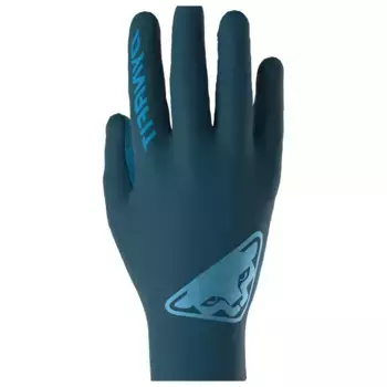 Перчатки Dynafit Upcycled Light, синий